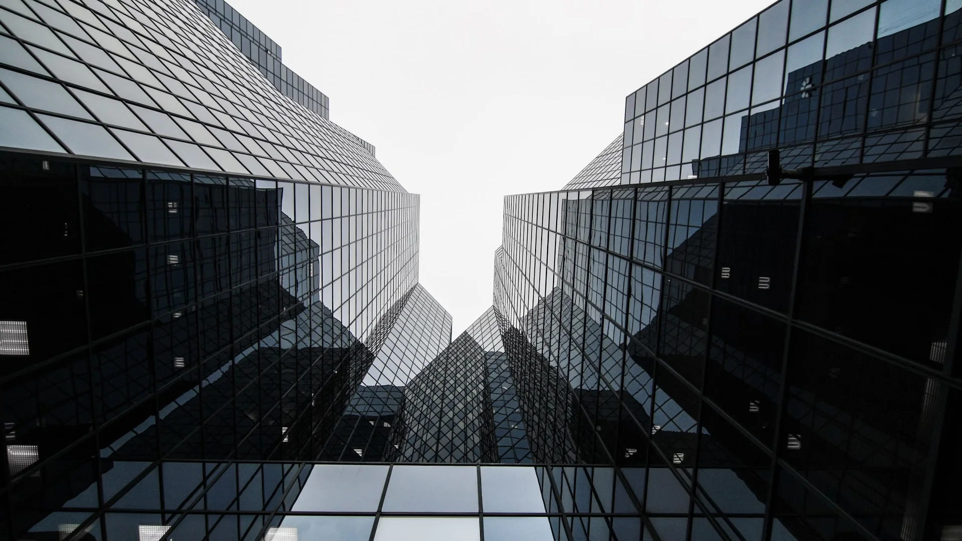 AI automation and web development background